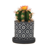 Pot with Drainage - White Flowers Pots Foxyavenue UK